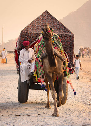 Pushkar Camel Fair 